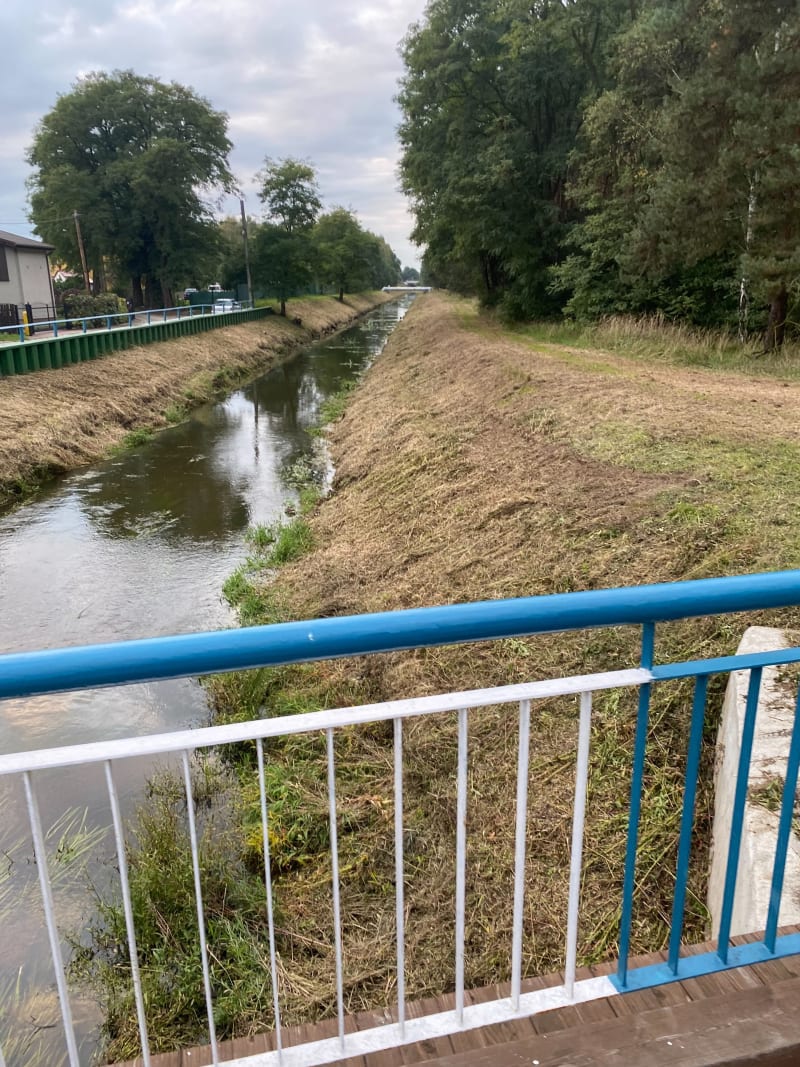 Wałami wzdłuż Nacyny - Rybnik