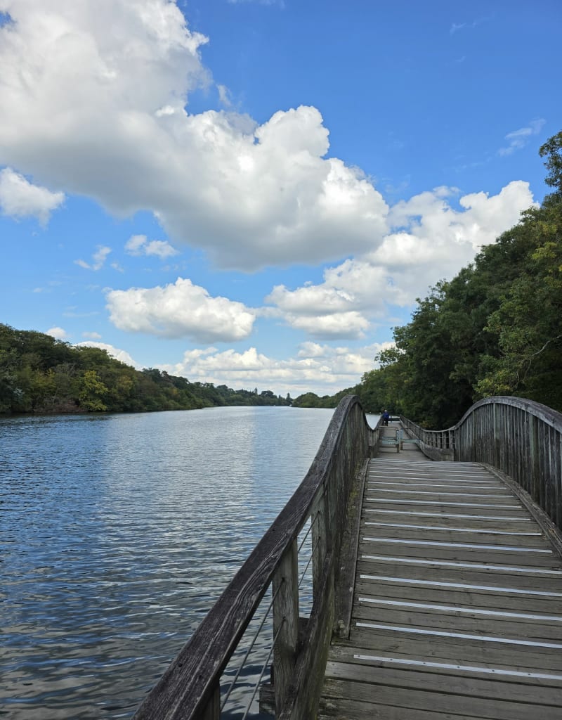 Un tour de l'erdre ! - Nantes