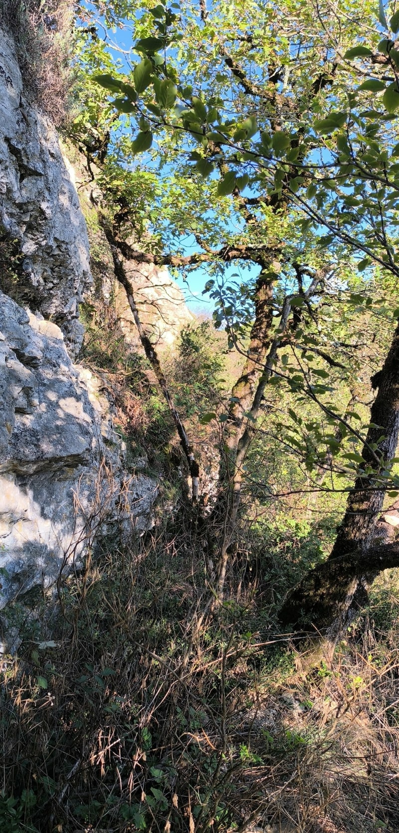 Lac bleu, puis château Saint Germain et site d'escalade - Ambérieu-en-Bugey