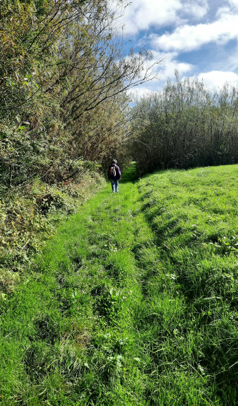 Balade de l'Oseraie, à Fayl-Billot - Fayl-Billot