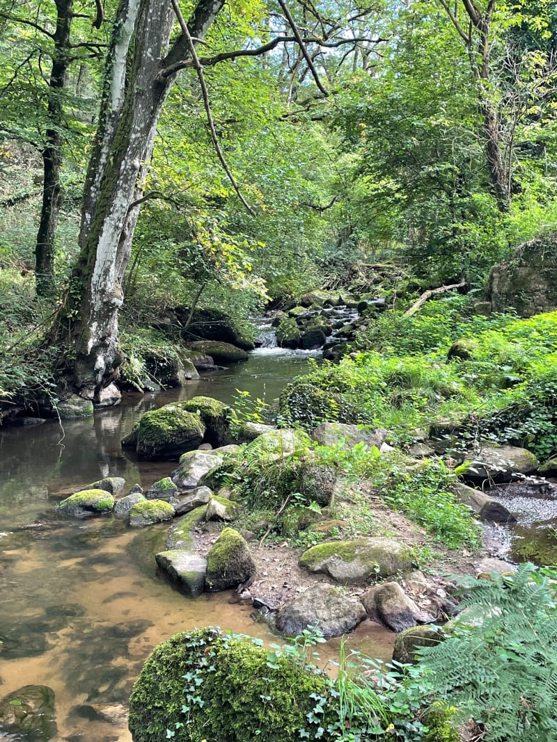 Sentiers des Picaous - Saint-Christophe-de-Valains