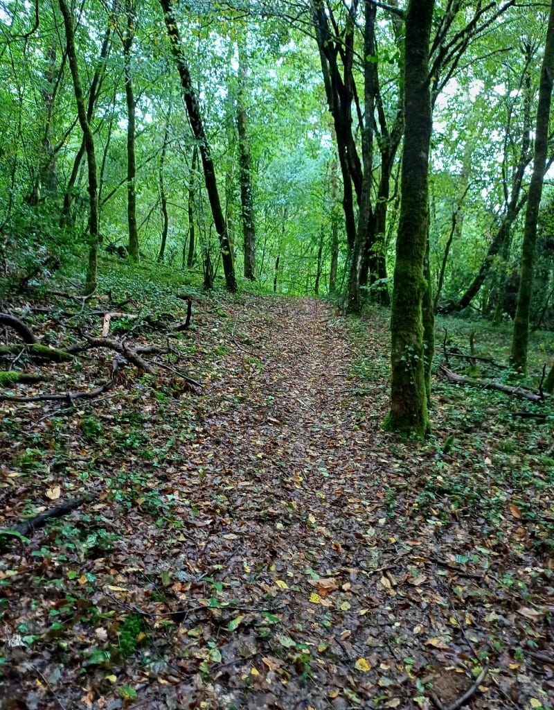 Parcours marche trail vtt vers Argentat sur Dordogne - Argentat-sur-Dordogne