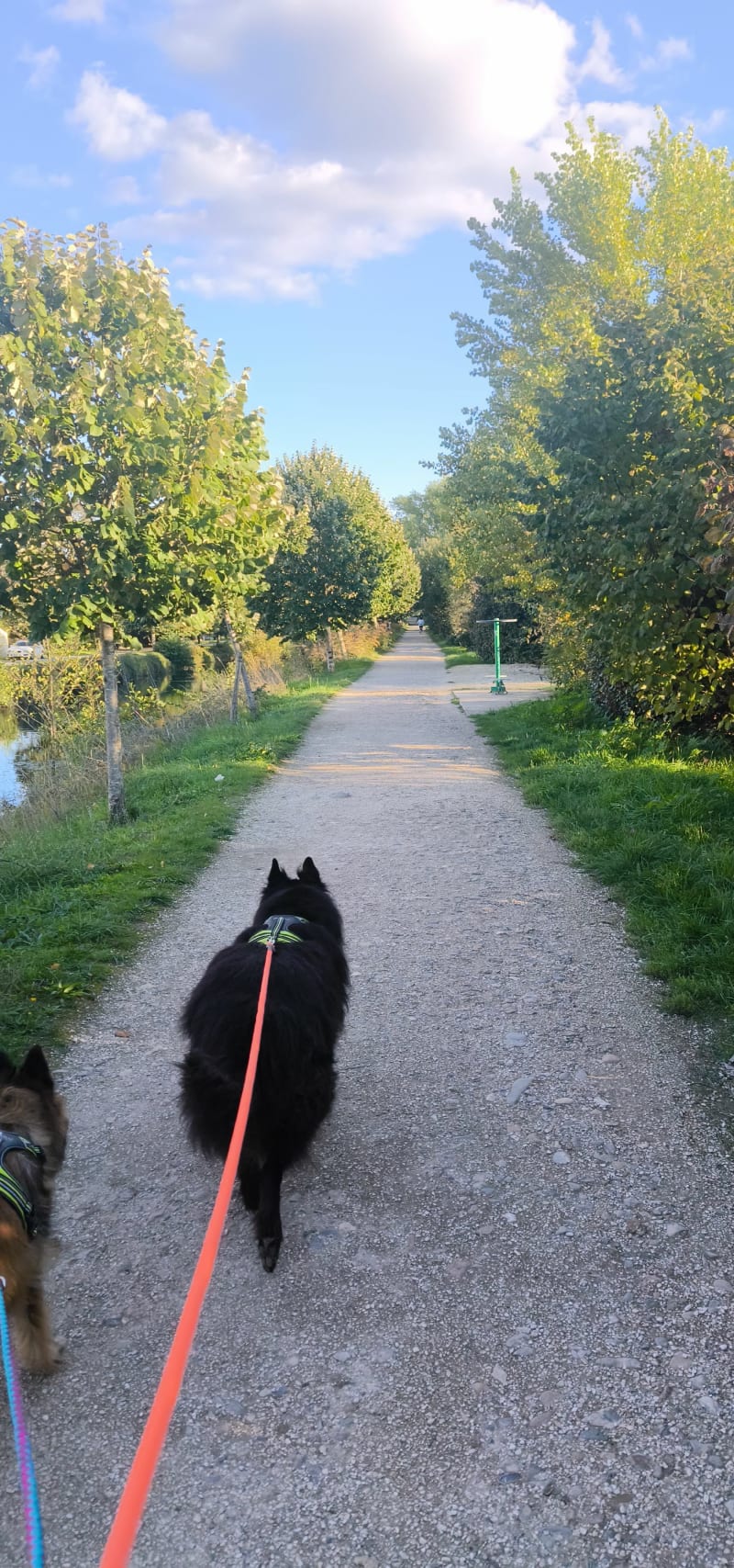 Boucle du Canal à Périgueux - Périgueux