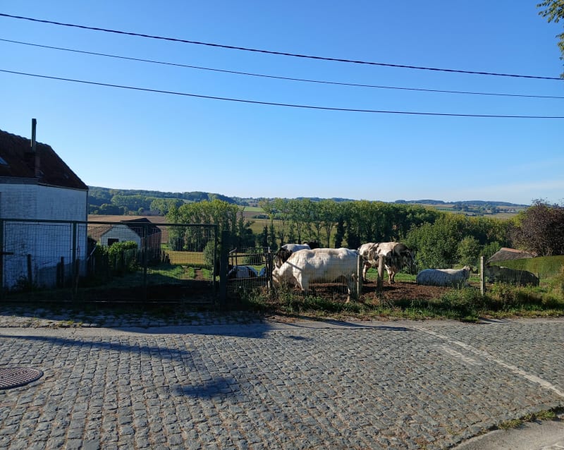 Kortekeer - taaienberg - berg ten houte - spichtenberg - Zwevegem