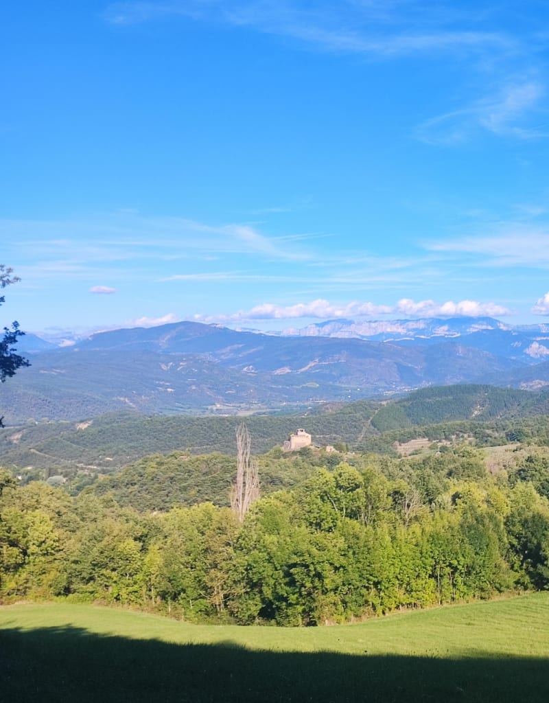Château de Piegros - Piégros-la-Clastre
