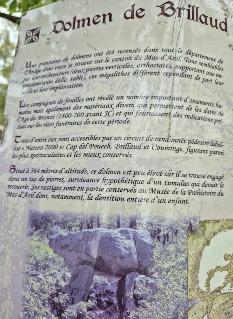 Dolmen de Brillaud - Montfa