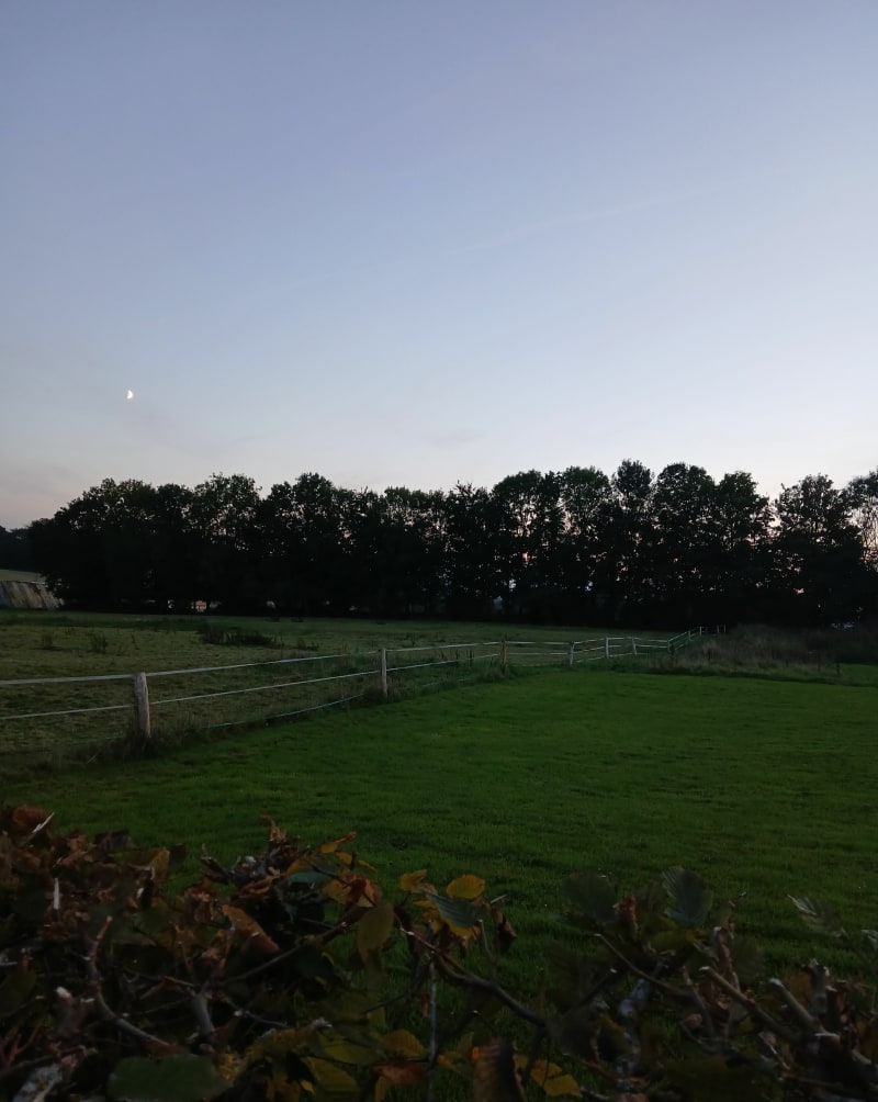 Le parcours des glands - Hautot-l'Auvray