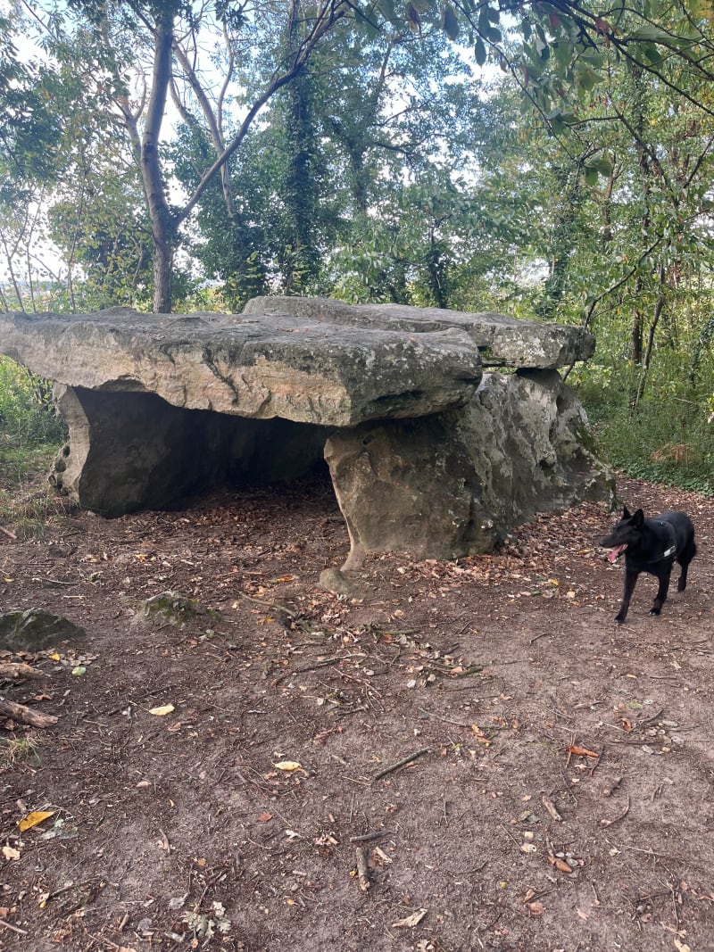 Boucle du dolmen à Brissac Loire Aubance - Brissac Loire Aubance