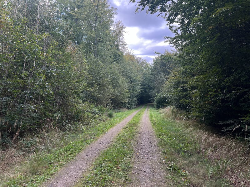 Małe kółko Zwierzynek - Zwierzynek