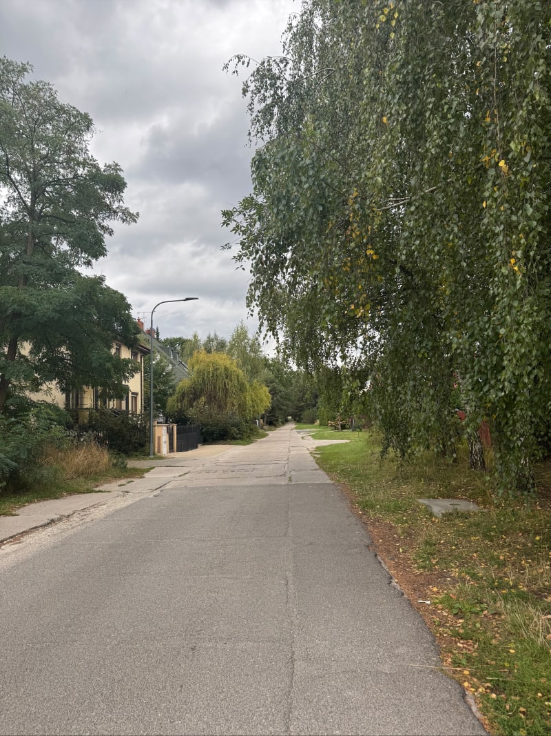 Las Mazowiecki park - Warszawa
