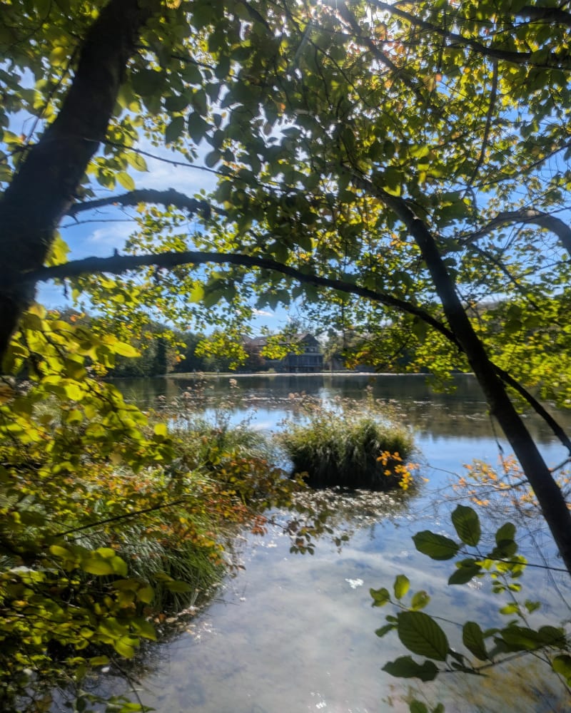 Étang de Roche Plage et Lac de la Save - Morestel