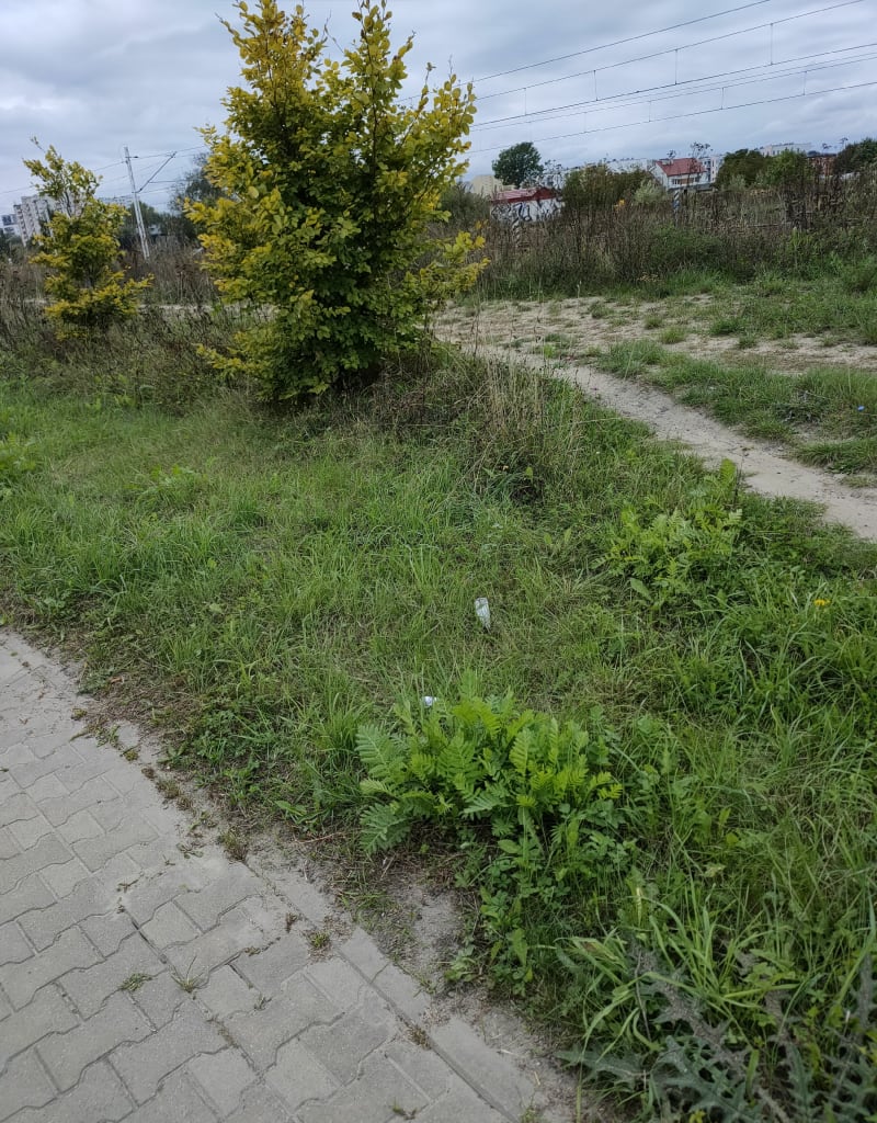 Wycieczka Kozienicka - Radom