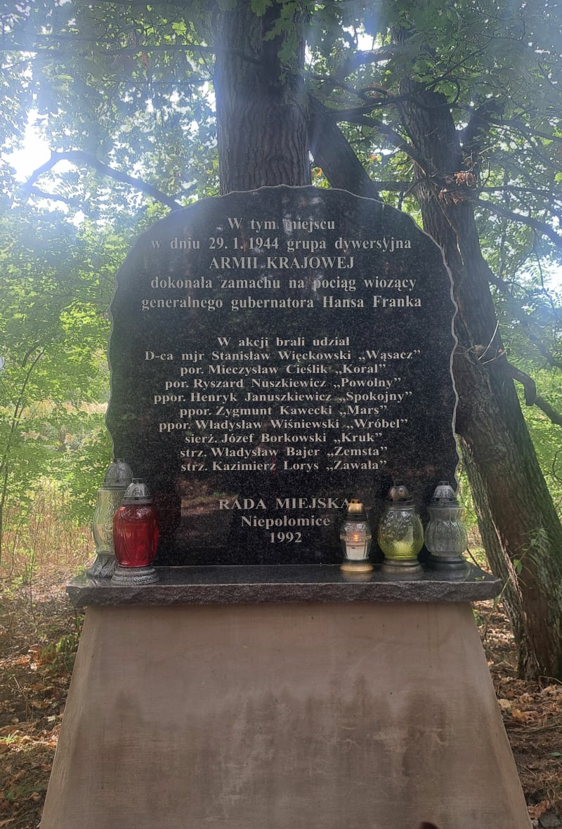 Niepołomice Puszcza - Niepołomice