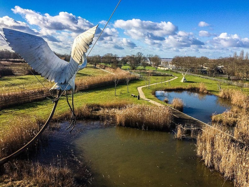 Balade sur les terres des oiseaux - Braud-et-Saint-Louis