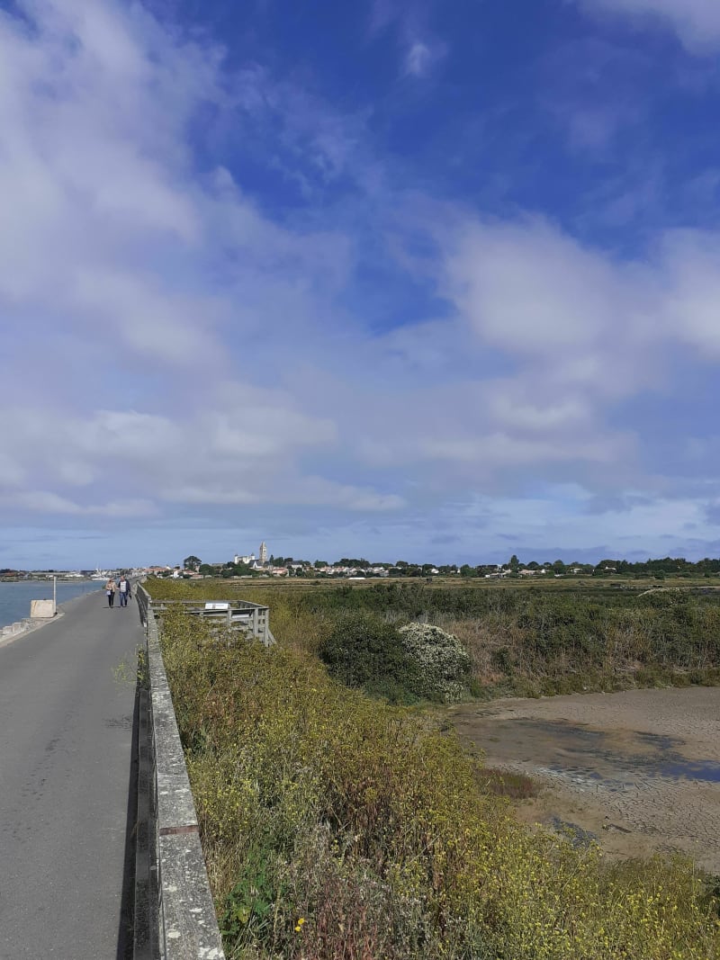 PT_JC_Huttopia_NoirmoutierP1_Pied_Petite boucle__copie Co-Créa - Noirmoutier-en-l'Île