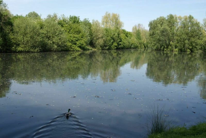 Test Riverside - Villeneuve-d'Ascq