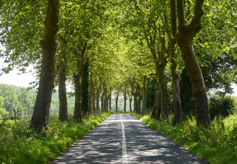 Dépublié en attente remplacement-Fréjairolles et escapade dans une nature complice - Fréjairolles