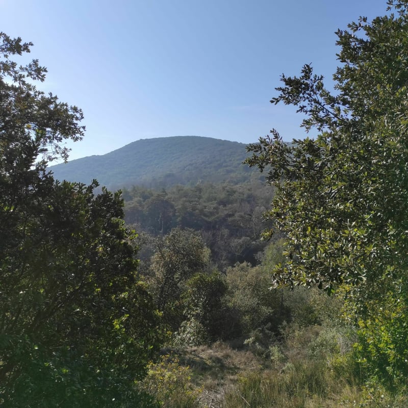 En route vers la roque sur Cèze__Rejeté - Saint-André-d'Olérargues