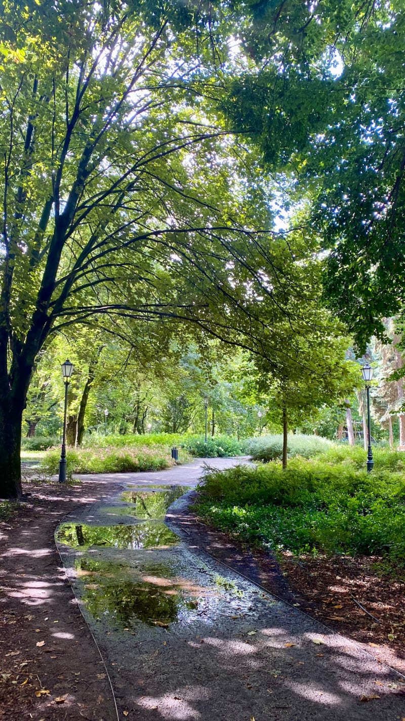 Bielany - Żoliborz - Potocka Kępa - Warszawa