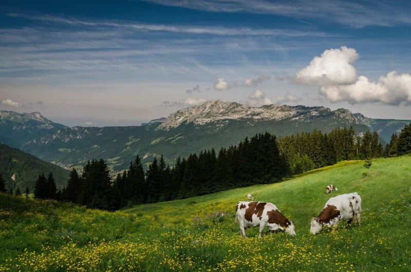 Vue sur la tête du Danay en randonnée depuis La Clusaz.