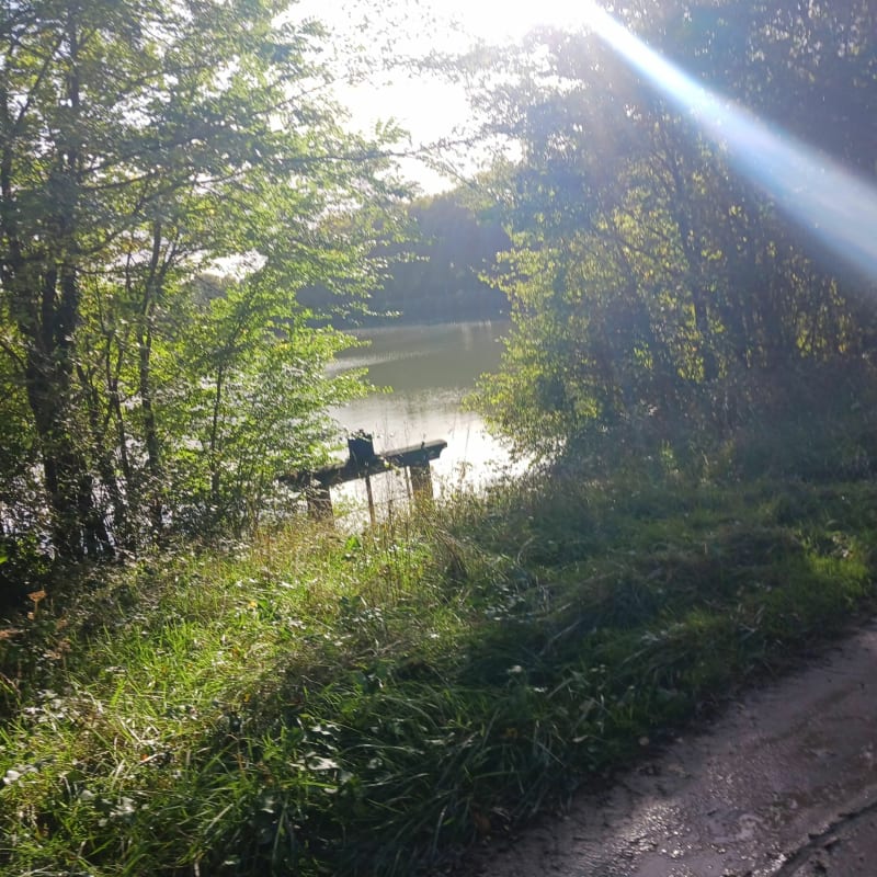 Une balade sur chemin / départementale à Sainte Geneviève des Bois - Sainte-Geneviève-des-Bois