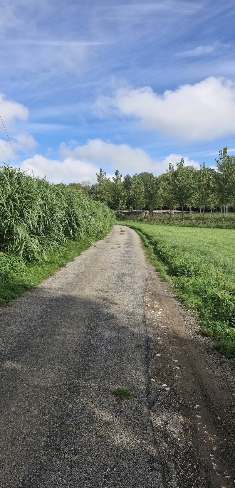 Marais de Sans fond et Saulon-la-Rue - Saulon-la-Rue