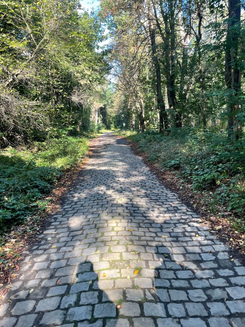 Łambinowice, Pomnik Jeńców Wojennych, obóz i dalej muzeum - Łambinowice