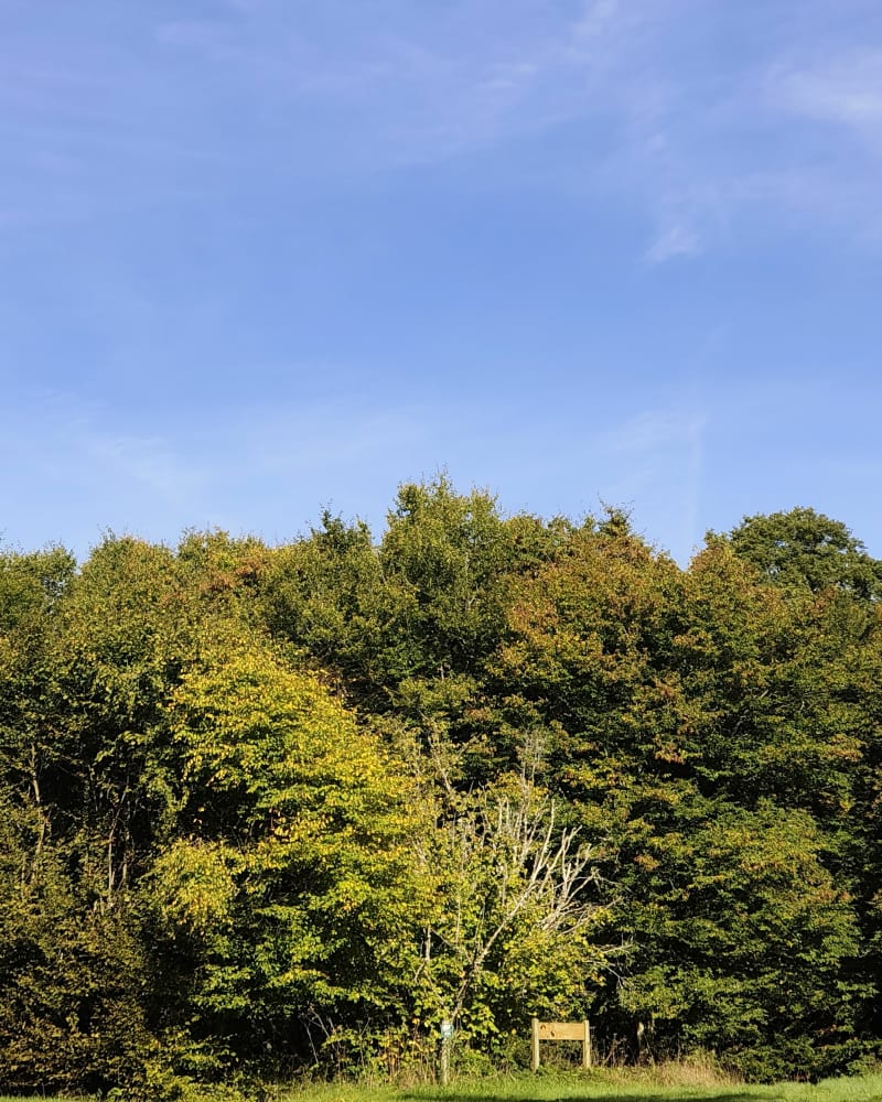 Promenade au Rond de Condé et Rond des Dames - Senonches