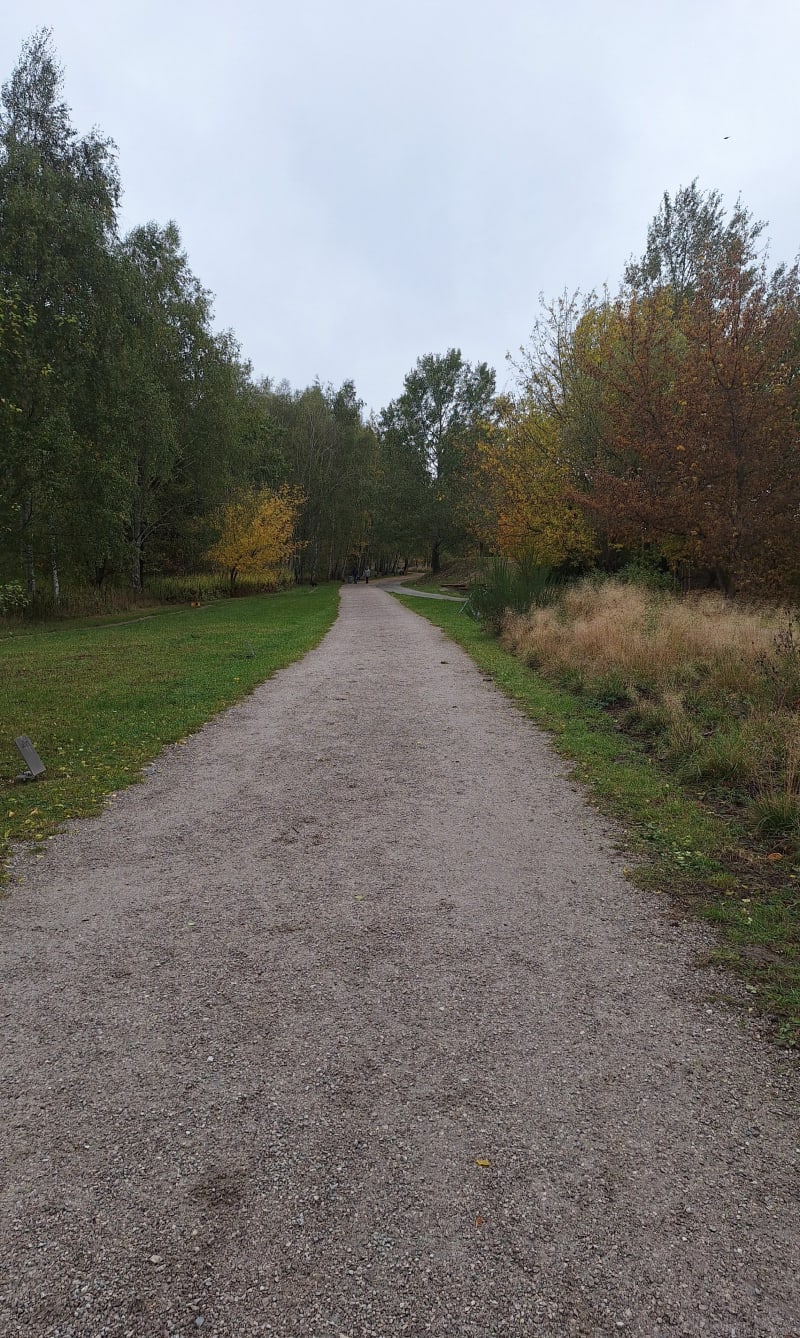 Pętla Zakątek Cybisa - Warszawa