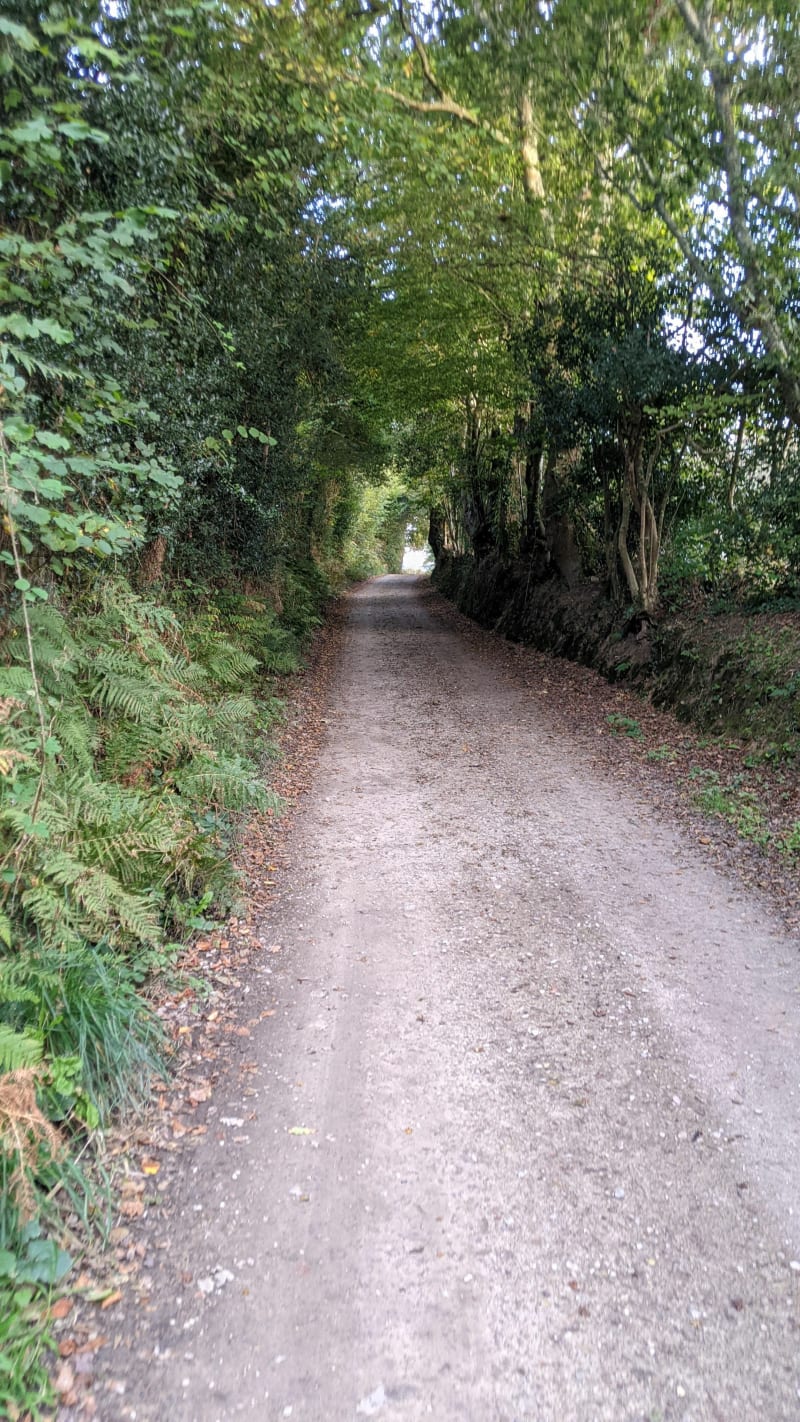 Traversée du bois de Baudienville - Cherbourg-en-Cotentin