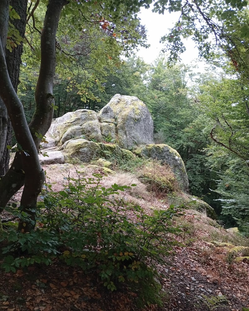 Pr 040 la roche druidique à Tence - Tence