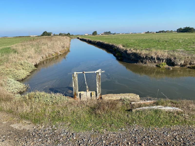 Les prés au cœur du marais breton à Bouin - Bouin