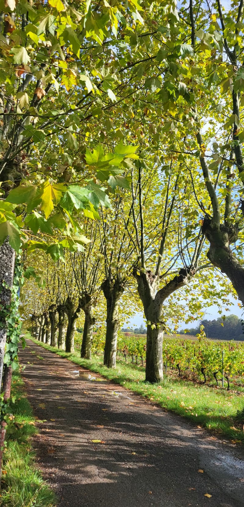 Boucle de la Laurence - Sainte-Eulalie