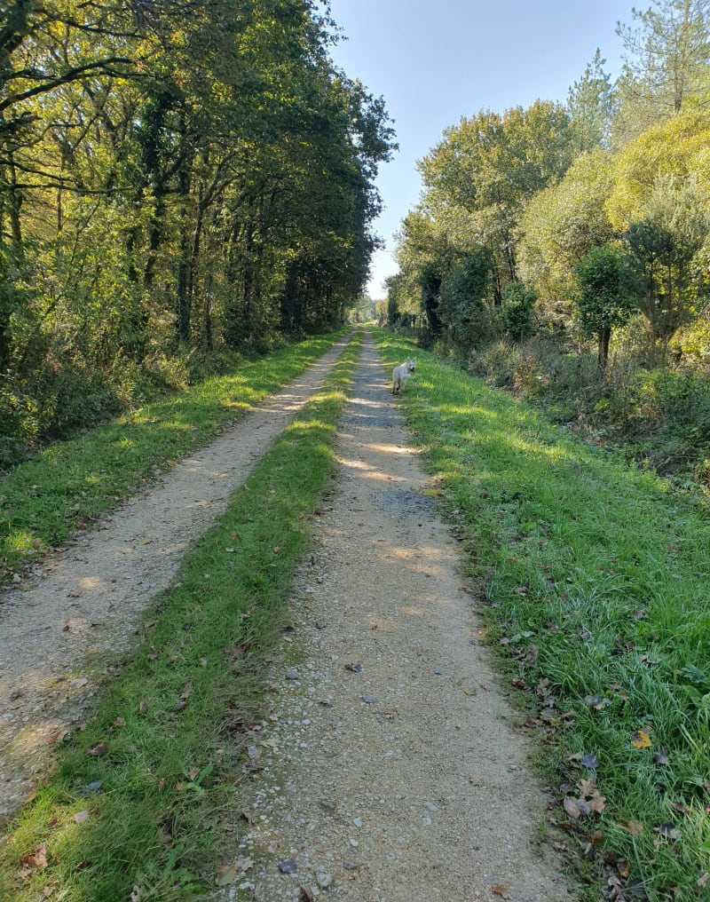 Petite boucle à Legé - Legé