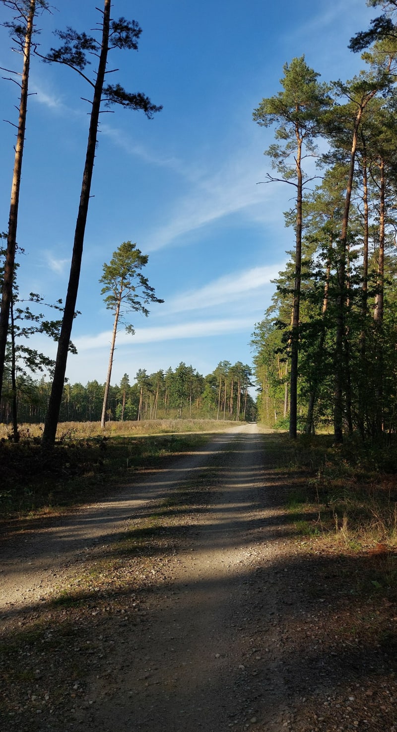 Jesienny spacer - Guty-Bujno