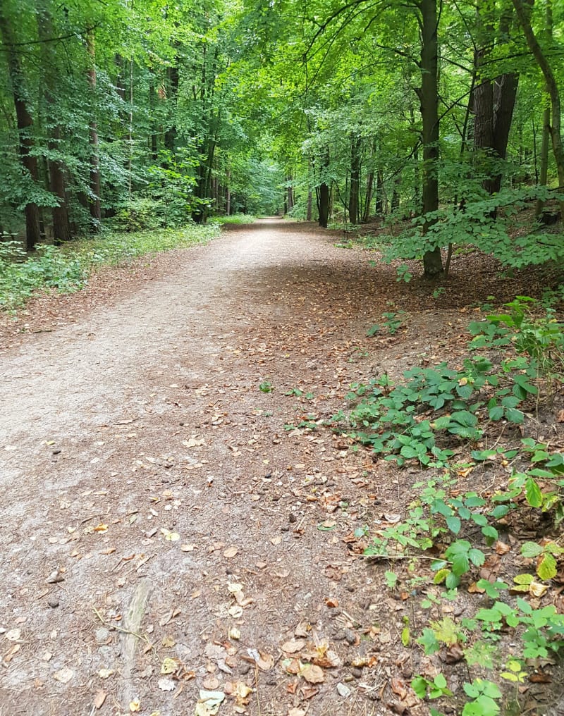 Trasa biegowa w TPK - Gdańsk