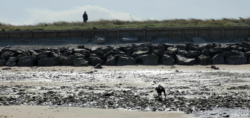 Entre mer et terre à Courseulles-sur-Mer - Courseulles-sur-Mer