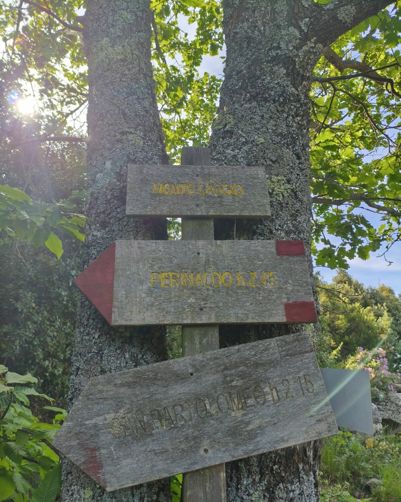 Ascension du Monte Caggio - San Romolo