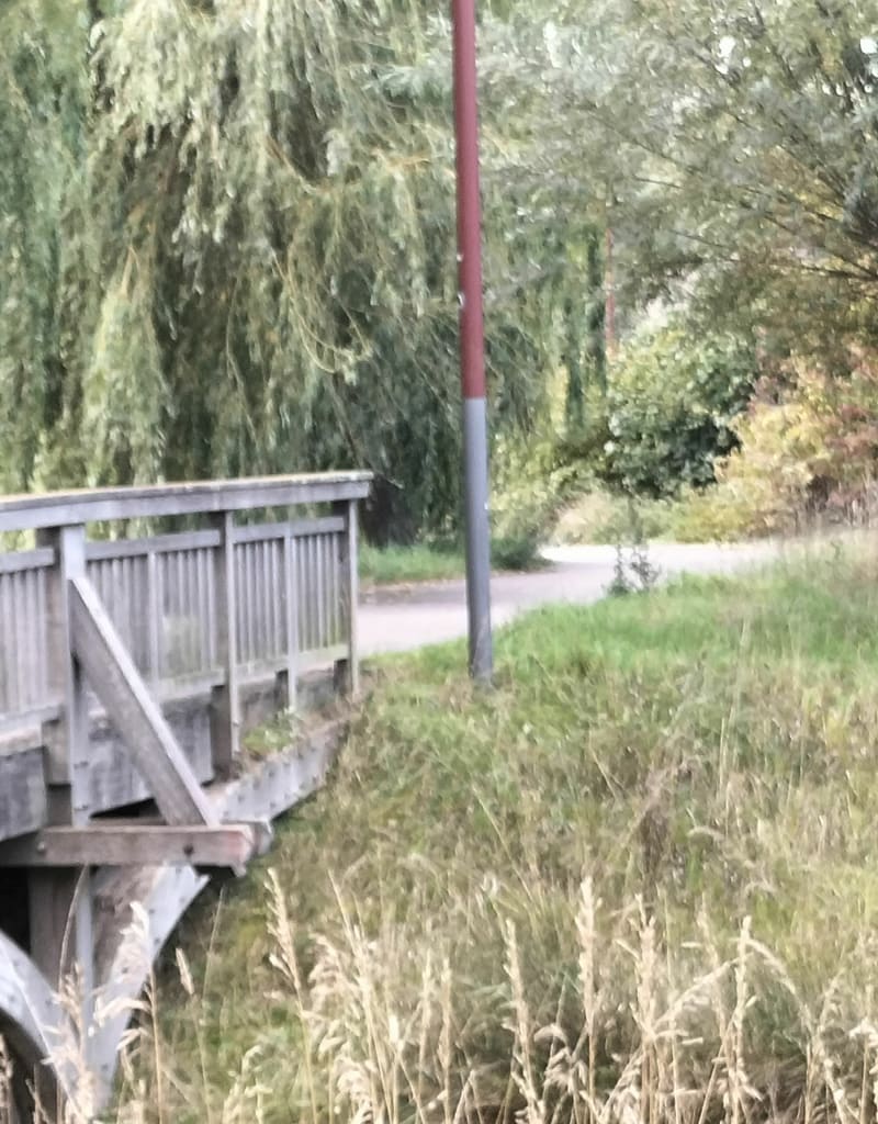 Tour du lac du Puythouck - Grande-Synthe