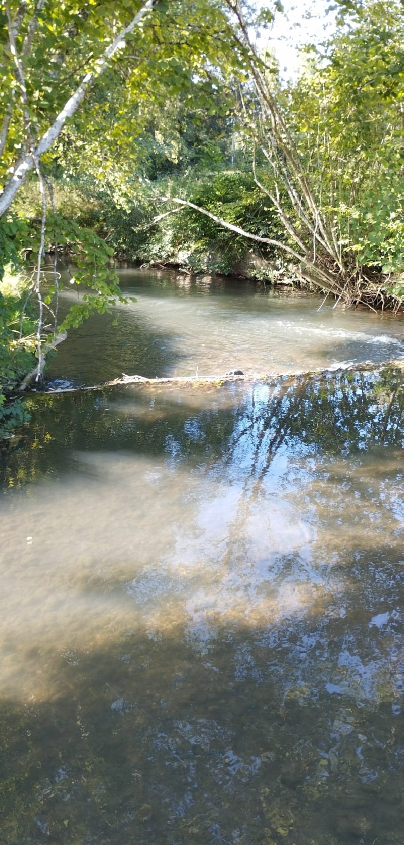 Epeigne sur Dème - Épeigné-sur-Dême