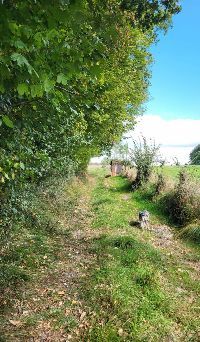 Promenade digestive à Wittes - Wittes