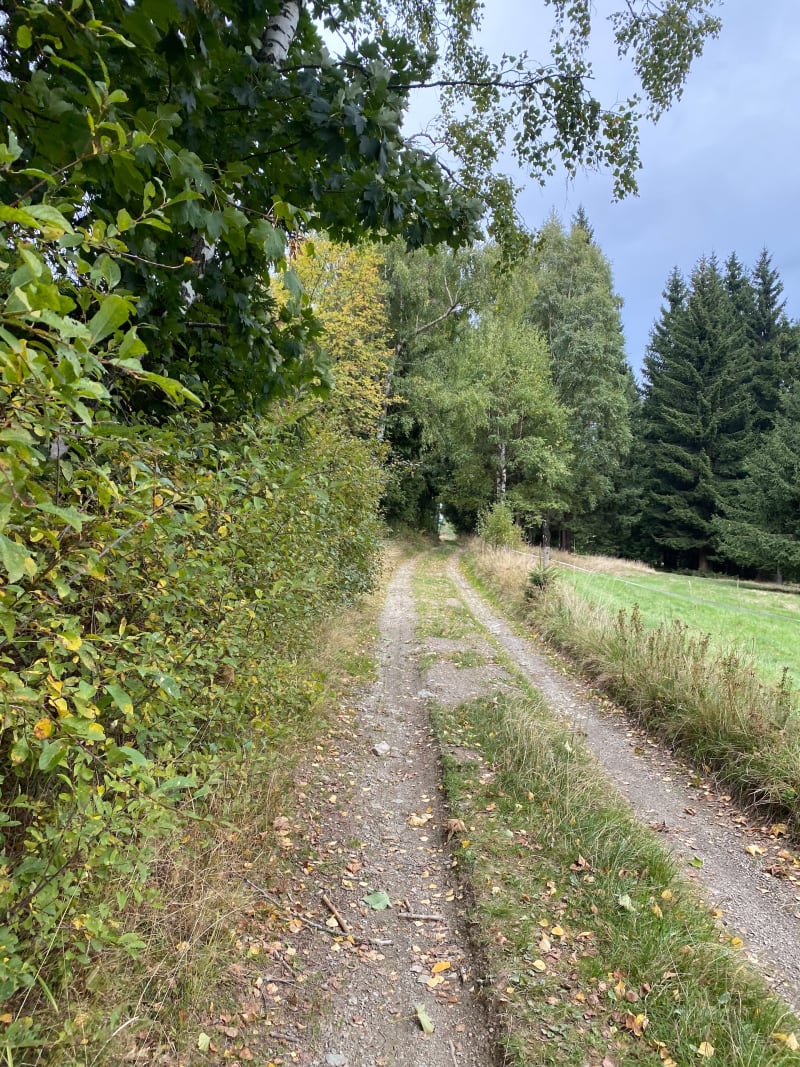 Niedamirów, Trasa piesza - Niedamirów