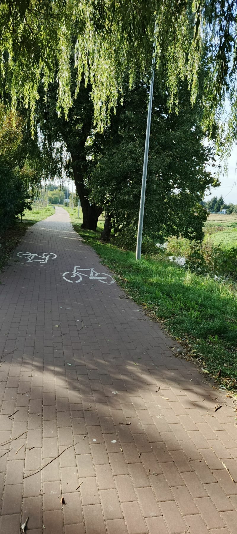 Płońsk i okolice. - Płońsk