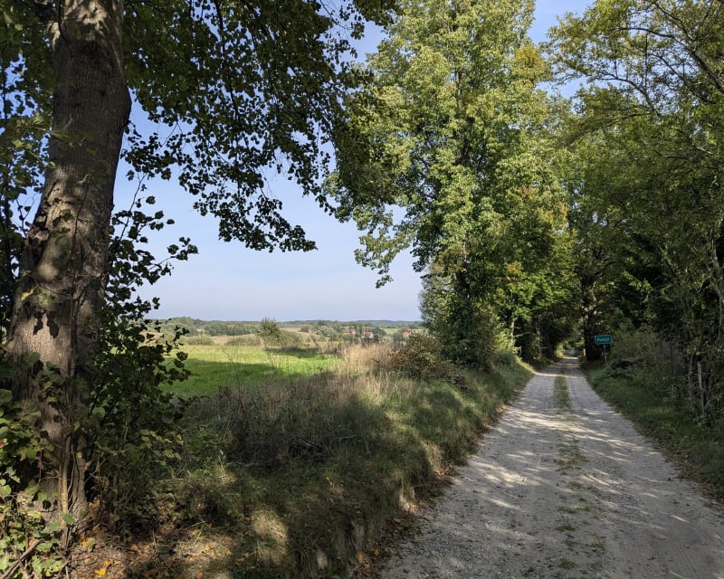 Jonkowo - Łomy - Rezerwat Kamienna Góra - Jonkowo - Jonkowo