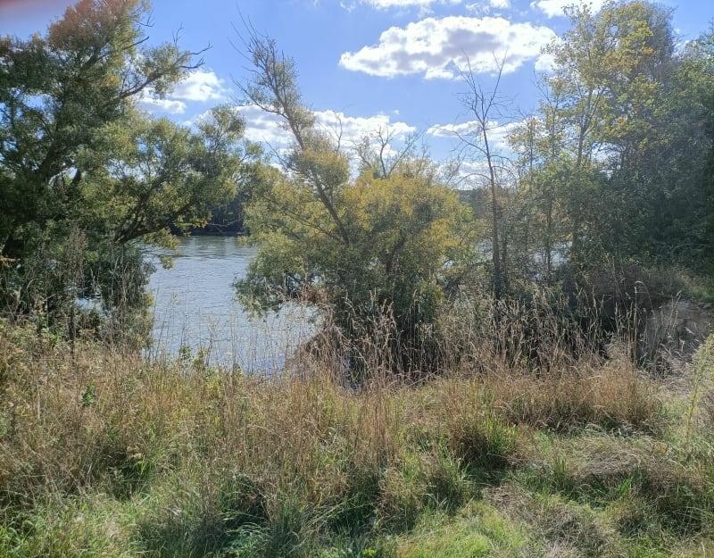 Tour des lacs d'Igoville - Igoville