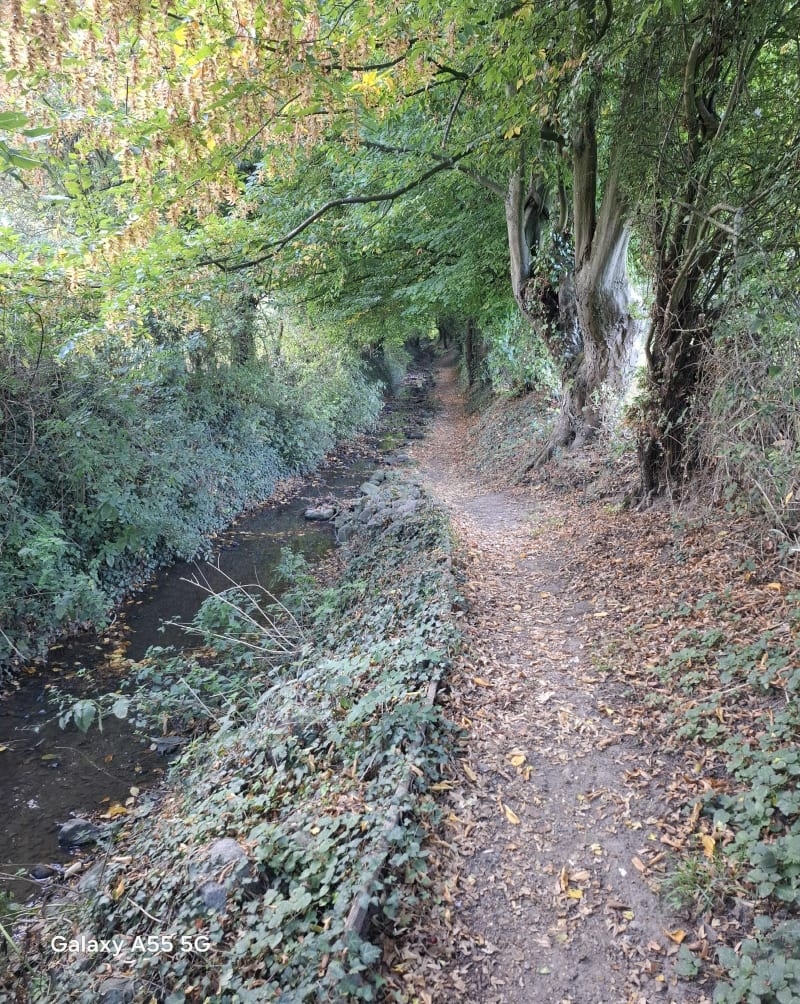 Dans la nature autour d Amettes. - Amettes