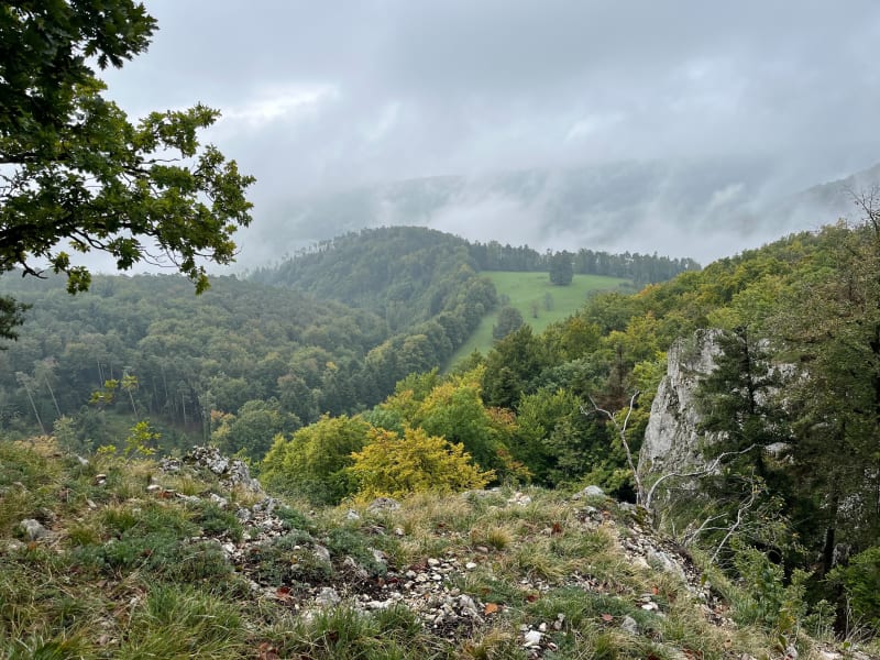 Boucle tour Rämelturm et ruines du château de Alt Biederthal - Wolschwiller