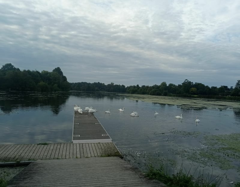 Château de Port Mulon et le Bassin de Nort-sur-Erdre - Nort-sur-Erdre