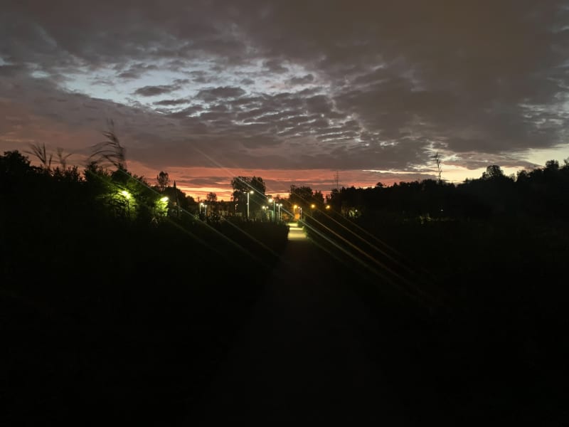 Kalina, Góra Hugona - Świętochłowice