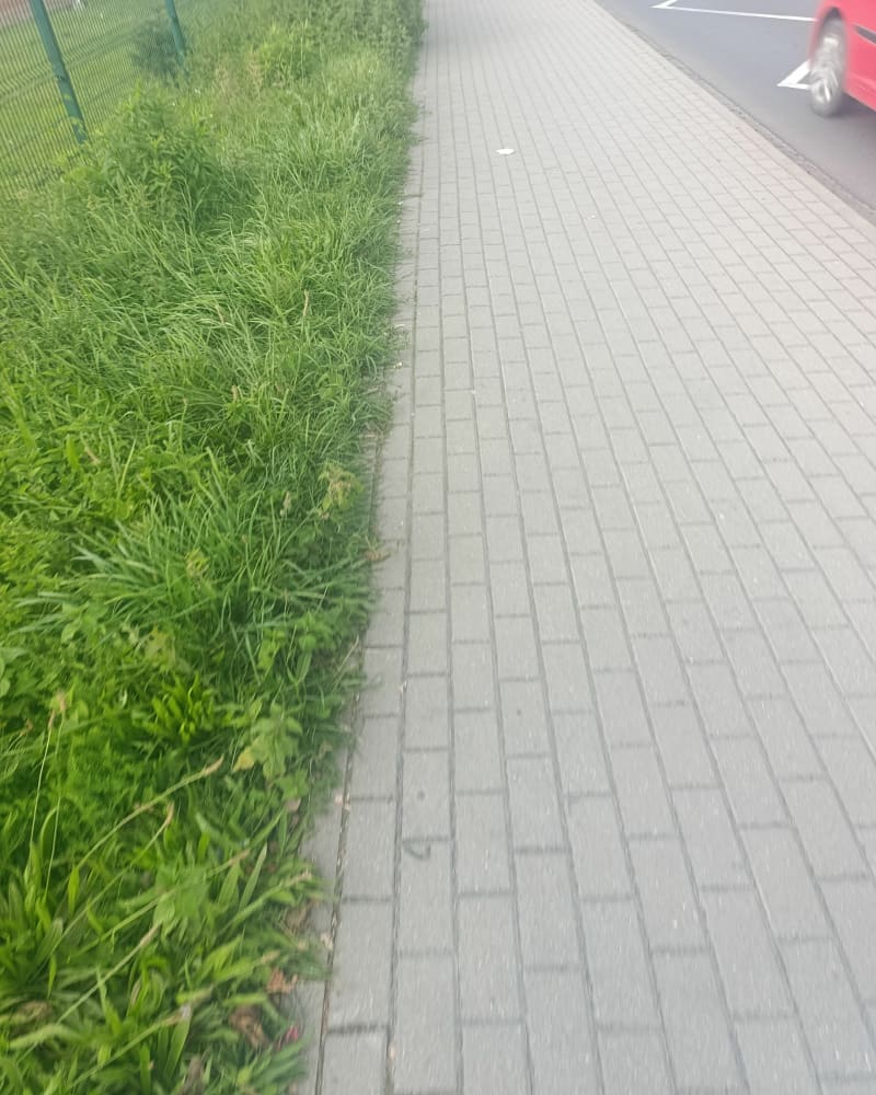 Spacer spacer - Września
